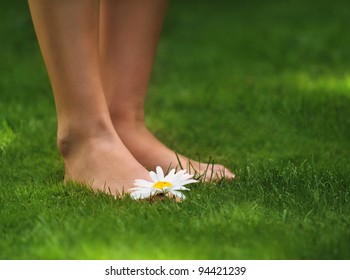 Woman legs with a daisy on the green grass