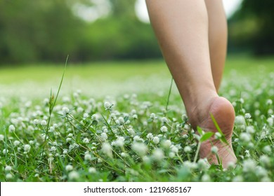 Woman legs walking on green grass