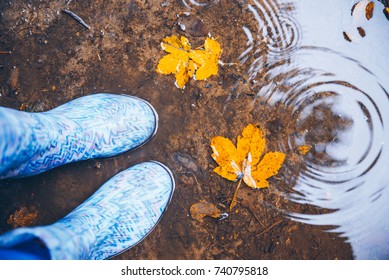 Woman Legs Walking In Puddle In Rubber Boots