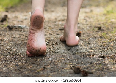 Woman legs walking in summer forest. Barefoot, freedom and health concept. - Shutterstock ID 1995650204
