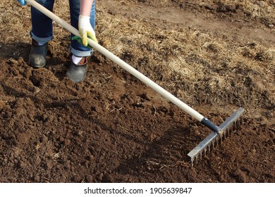 A woman is leveling the ground with a rake in the garden. Loosening the soil. Selective focus. Close-up. Background. - Shutterstock ID 1905639847