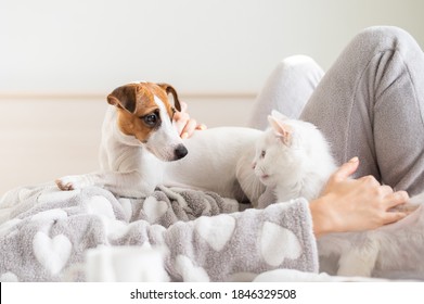 Eine Frau liegt im Bett mit einer Katze und einem Hund