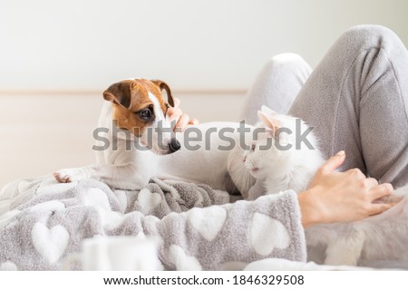 A woman lies in bed with a cat and a dog