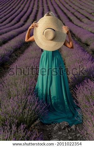 Similar – #A# Lavender walk 1