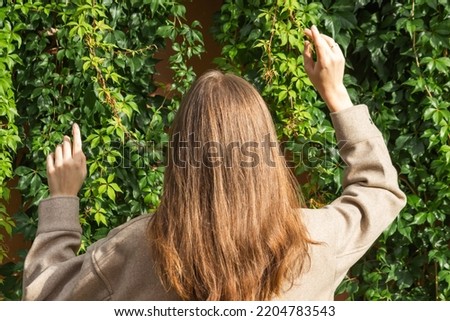 Woman with long brown hair stands with hands up and her back to the eco hedge wall of entwined green wild grapes. Rear view. Nature backgrounds and textures. Autumn nature and cottagecore concept.