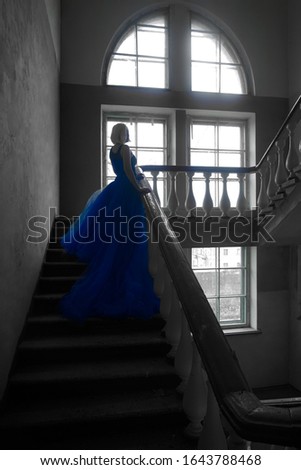 Similar – Image, Stock Photo Sleeping Beauty on the way to the tower room