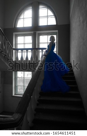 Similar – Image, Stock Photo Sleeping Beauty on the way to the tower room