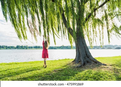Woman with long hair in red dress reaching to willow tree and wind by Potomac River and Arlington Memorial bridge in Washington DC