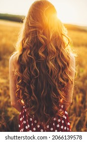 Woman with long wavy hair watching the sunset in the wheat field. Rear view. Sunset light