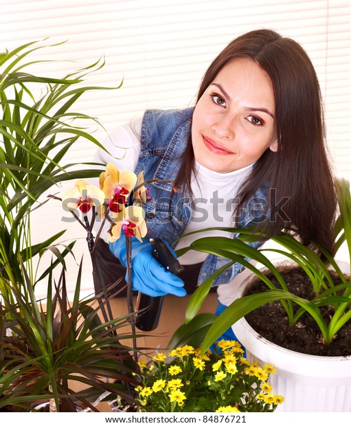 Woman  looking after\
houseplant at home.