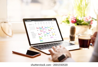 Woman looking at calendar on laptop computer