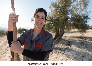  Woman looking at camera while working collecting olives - Powered by Shutterstock