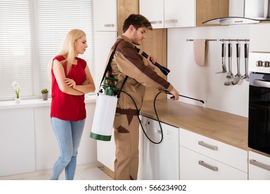 Woman Looking At Exterminator Worker Spraying Insecticide Chemical For Termite Pest Control In House Kitchen