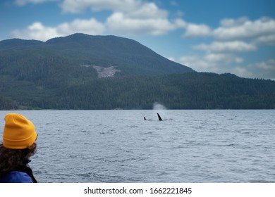 Woman Is Looking At Killer Whales In Tofino, Mountains In Background, View From A Boat