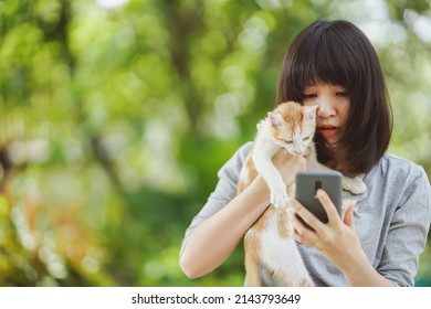 Woman Looking At Phone Screen With Cat With Blurred Nature Background.