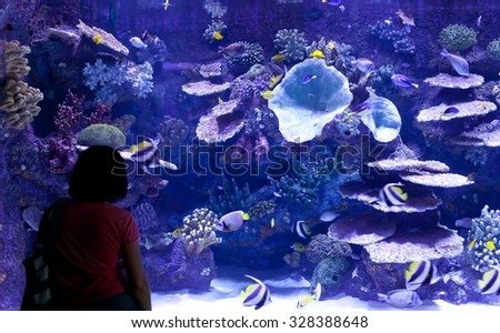 Woman looks at the fish at the aquarium