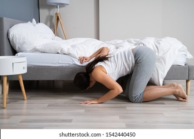 Woman Lost Something And Trying To Find It - Shutterstock ID 1542440450
