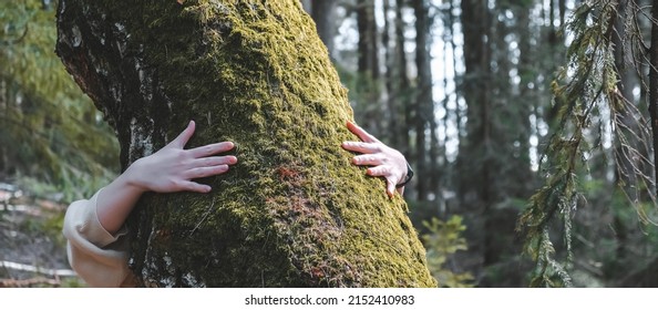 woman love nature hugging a pine tree, no deforestation concept and earth's day celebration,care for the earth, meditation,save our planet for a nice and better future - outdoor leisure activity - Shutterstock ID 2152410983