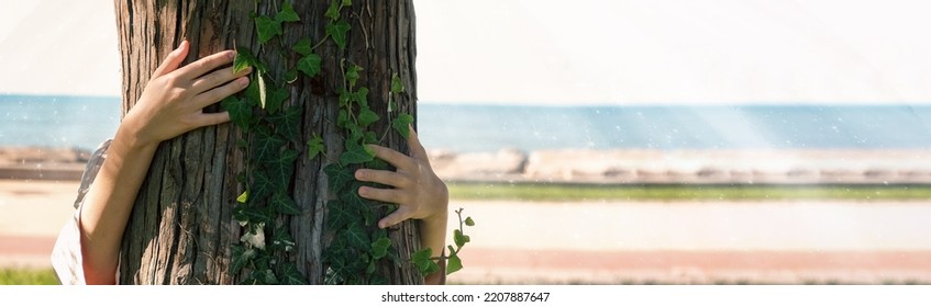 Woman Love Nature Hugging A Pine Tree, No Deforestation Concept And Earth's Day Celebration,care For The Earth, Meditation,save Our Planet For A Nice And Better Future - Outdoor Leisure Activity