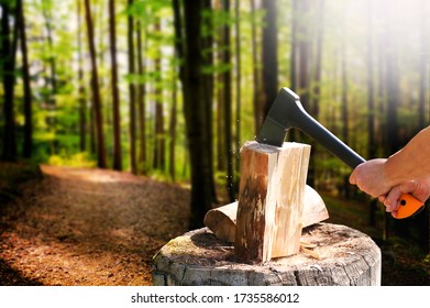 Woman Lumberjack Holding In Hands Ax Chopping Wood, Chips Fly In Blur Forest Background. Firewood Chopping Ax. Ax For A Tree, On A Stump.