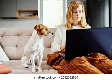 Woman Lying On Couch With Dog And Use Laptop For Working. Home Workplace, Remote Work