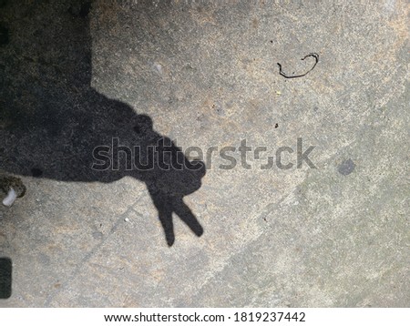 A woman made a hand shadow on the asphalt road