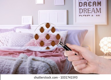 Woman With Magnifying Glass Detecting Bed Bugs In Bedroom