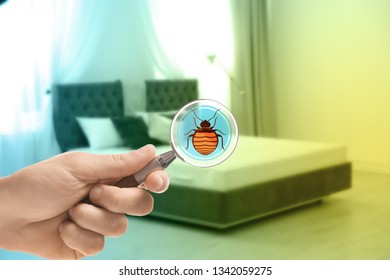 Woman With Magnifying Glass Detecting Bed Bugs On Mattress, Closeup 