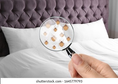 Woman With Magnifying Glass Detecting Bed Bugs, Closeup