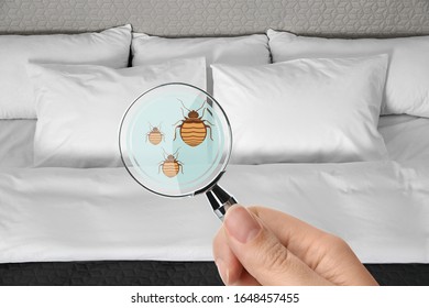 Woman With Magnifying Glass Detecting Bed Bugs, Closeup