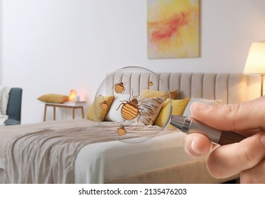 Woman with magnifying glass detecting bed bugs in bedroom, closeup - Shutterstock ID 2135476203