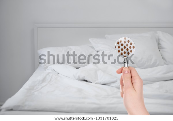 Woman\
with magnifying glass detecting bed bugs in\
bedroom