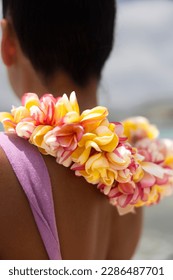 Woman making Hawaiian Lei and Hahu. Process of Handmade flower crown made from Hawaii flower Plumeria.