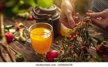 Woman Is Making A Tasty And Healthy Vitamin Tea From Fresh Sea Buckthorn Berries. Concept Of A Cozy Autumn Atmosphere And Health Care During Colds And Flu Season.