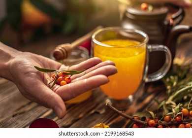 Woman Is Making A Tasty And Healthy Vitamin Tea From Fresh Sea Buckthorn Berries. Concept Of A Cozy Autumn Atmosphere And Health Care During Colds And Flu Season.