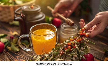 Woman Is Making A Tasty And Healthy Vitamin Tea From Fresh Sea Buckthorn Berries With Honey. Concept Of A Cozy Autumn Atmosphere And Health Care During Colds And Flu Season.