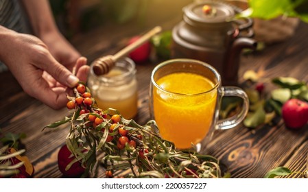 Woman Is Making A Tasty And Healthy Vitamin Tea From Fresh Sea Buckthorn Berries With Honey. Concept Of A Cozy Autumn Atmosphere And Health Care During Colds And Flu Season.