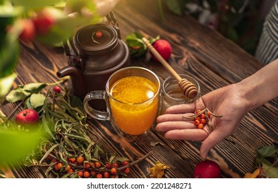 Woman Is Making A Tasty And Healthy Vitamin Tea From Fresh Sea Buckthorn Berries With Honey. Concept Of A Cozy Autumn Atmosphere And Health Care During Colds And Flu Season.