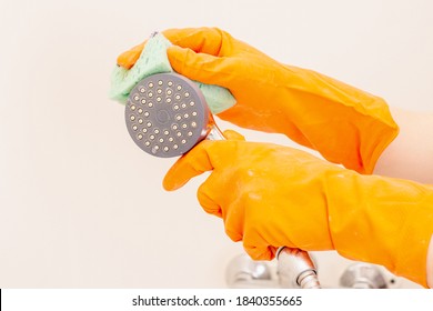 Woman Or Man Doing Chores In Bathroom. Cleaning Shower Head