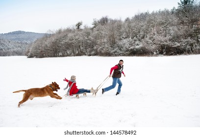 Woman And Man Are Having Walk With Dog In Winter Snowy Countryside