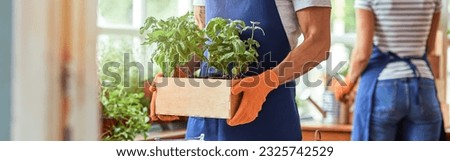 Woman and man working with spicy herbs in greenhouse