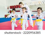 Woman martial arts coach giving a taekwondo or a karate class to young children