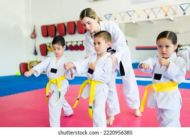 Woman martial arts coach giving a taekwondo or a karate class to young children - Powered by Shutterstock