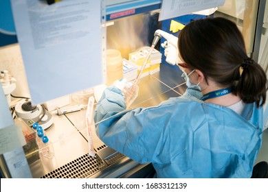 
Woman in the medical laboratory Covid-19 / Coronavirus / Aids Germany Berlin 2020 - Shutterstock ID 1683312139