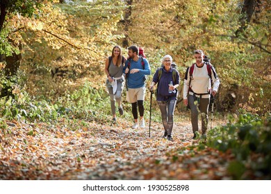 Woman And Men Hiking In Beautiful Forest In Autumn