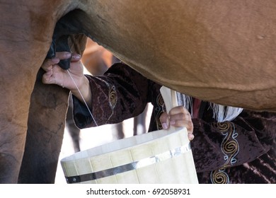 Woman Milks A Horse In Bishkek, Kyrgyzstan To Provide Nutrition For Her Family On May 27, 2017