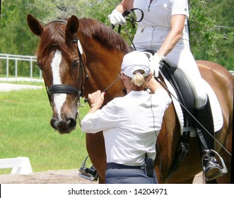 Woman, Most Likely A Trainer, Helping Competition Equestrian Get Ready For The Ring While On Horseback. The Horse Is Chestnut Colored With A Blaze. The Background Is Green Grass And Trees. 