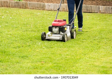 a woman mows her green lawn in summer