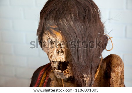 Woman Mummy - Chauchilla Cemetery - Peru	 Stock photo © 