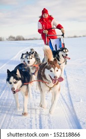 Woman Musher Hiding Behind Sleigh At Sled Dog Race On Snow In Winter